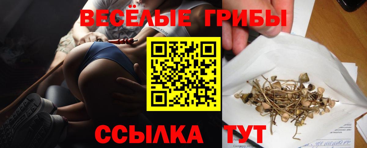 Галлюциногенные грибы Psilocybe  Галлюциногенные грибы ЛСД  Вход с VPN  Большой Камень 
